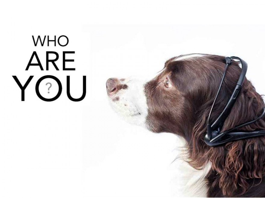 No more woof: è in arrivo il cane parlante