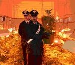 THUMB_92820