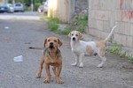NEWS_164265