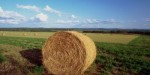 agricoltura-foto-400x200