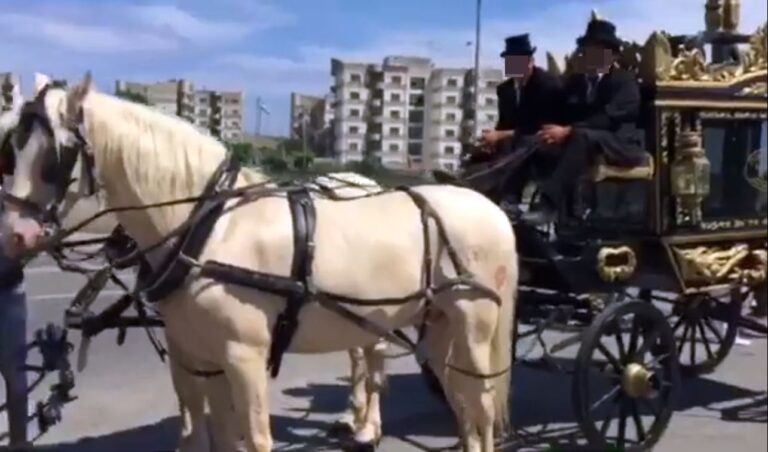 i funerali del clan degli zingari di Catanzaro con gli onori come i boss