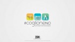 coglione-no-620x350