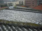 copertura_in_cemento_amianto