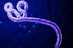 ebola-2