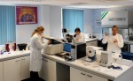 lab