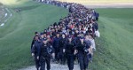 migranti