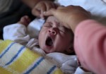 neonato