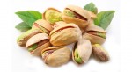 pistacchio_1
