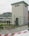 pontinia-2